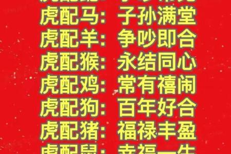 女虎男虎婚姻有何挑战与优势