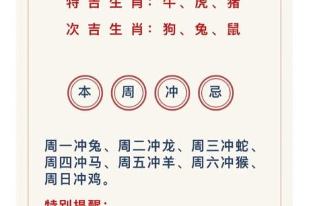 每日运势必看，生肖今日运程全盘解析