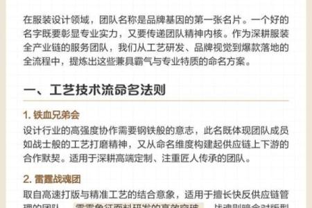 不同类型体育培训公司的命名策略与灵感来源