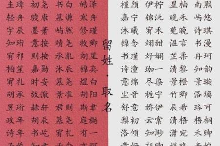 宝宝名字打分测试，帮您选出最合适的名字！