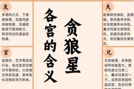 八字将星详解：揭示你未来的职业方向