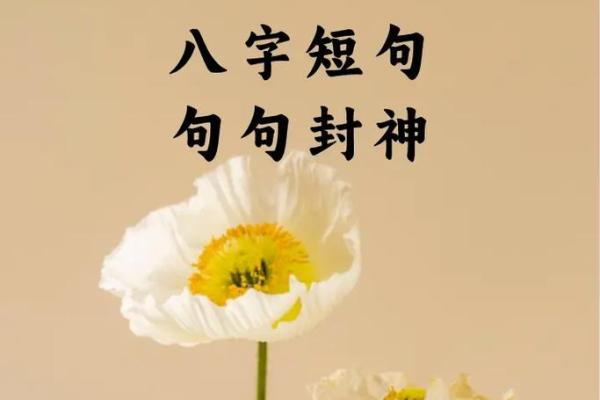 八字短句表达友情的深情,温暖你的心 八字短句表达友情的深情,温暖你的心