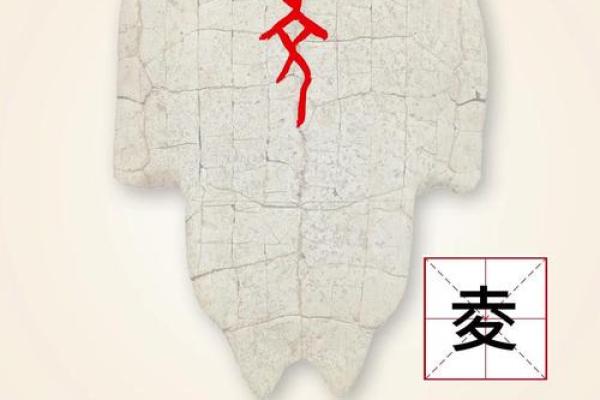 浡字五行属什么?揭开它的神秘面纱 浡字五行属什么?揭开它的神秘面纱