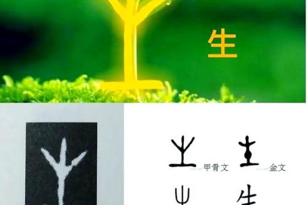 浡字五行属什么?揭开它的神秘面纱 浡字五行属什么?揭开它的神秘面纱