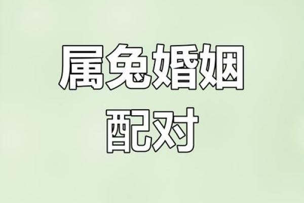 属牛女与属兔男的爱情运势 解读两者配对的真相 属牛女与属兔男的爱情运势 解读两者配对的真相