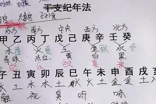 生辰八字揭秘:如何通过八字解析你的命运轨迹? 生辰八字揭秘:如何通过八字解析你的命运轨迹?