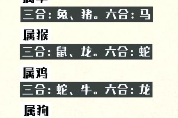 生肖龙与生肖虎配对的最佳组合分析 生肖龙与生肖虎配对的最佳组合分析