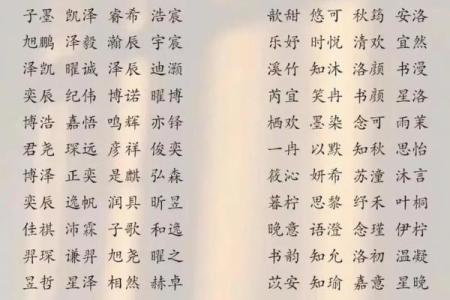 宝宝名字起名指南：传承与创新并存