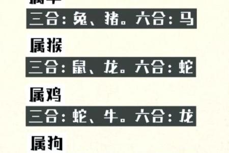 生肖龙与生肖虎配对的最佳组合分析