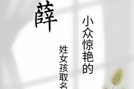 薛姓宝宝取名指南：如何为孩子选一个寓意深远的名字
