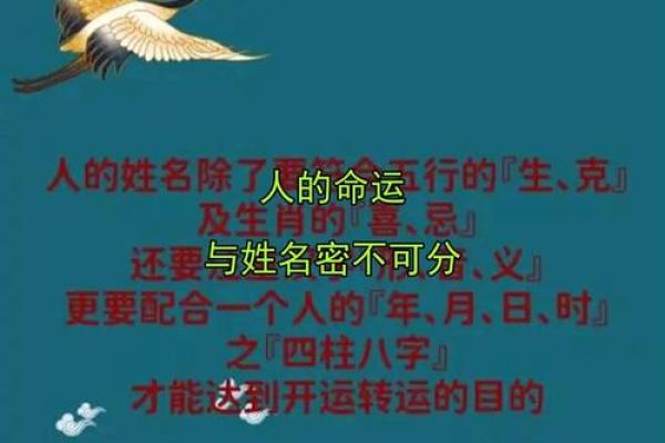 测名字大全：解读名字背后的深层含义与命运影响
