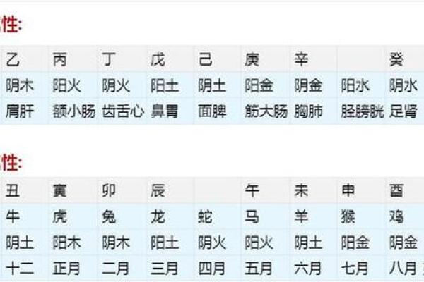 安康算命生辰八字,揭秘你一生的命运走势 安康算命生辰八字,揭秘你一生的命运走势