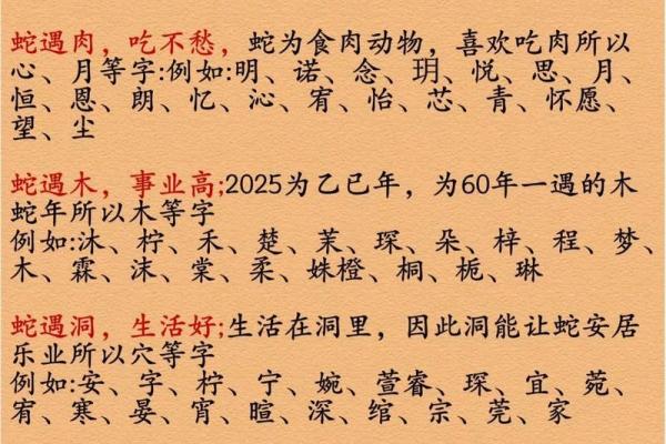 出生的蛇属于哪种五行元素?揭秘蛇年五行属性分析 出生的蛇属于哪种五行元素?揭秘蛇年五行属性分析
