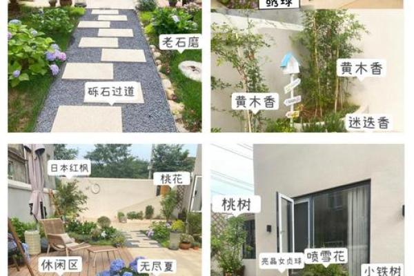 打造风水宜人的庭院植物布局指南