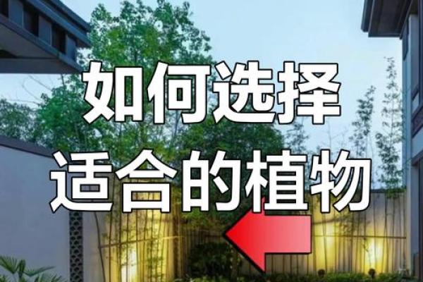 打造风水宜人的庭院植物布局指南