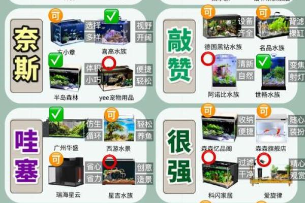 避免这些错误，正确摆放鱼缸提升家居风水