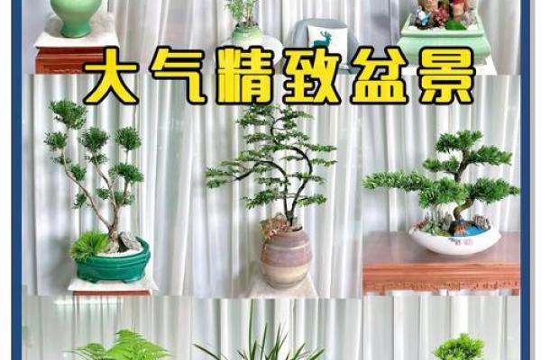 如何通过风水植物改善办公桌布局 如何通过风水植物改善办公桌布局