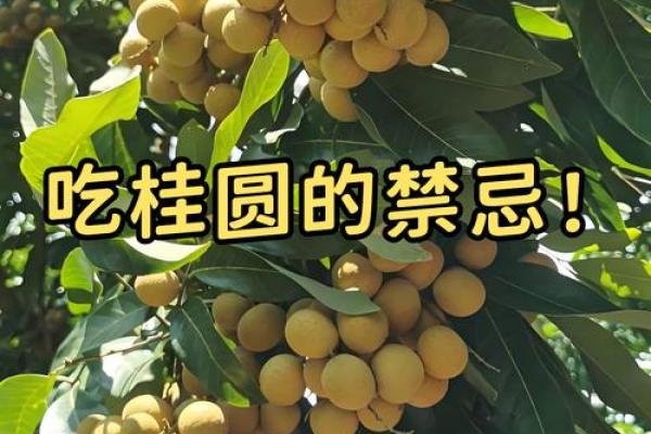 从五行角度看桂圆:养生食材的深层秘密 从五行角度看桂圆:养生食材的深层秘密