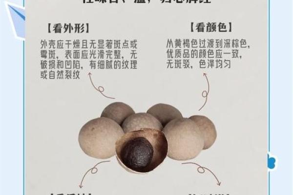 从五行角度看桂圆:养生食材的深层秘密 从五行角度看桂圆:养生食材的深层秘密