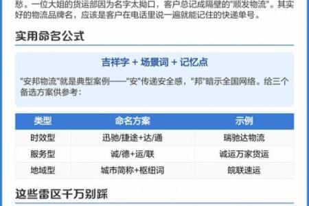 起名公司查询：如何选择专业的命名服务