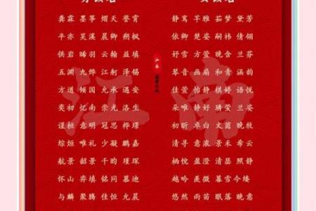 宝宝名字大全：如何选择一个既有个性又有内涵的名字