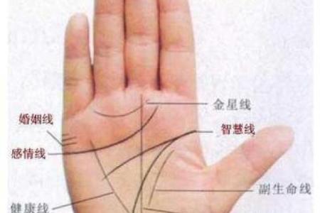 掌纹解析：如何从手掌看出富贵命