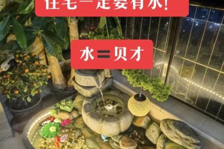 办公室鱼缸摆放风水：提升事业与财运的关键