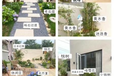 打造风水宜人的庭院植物布局指南