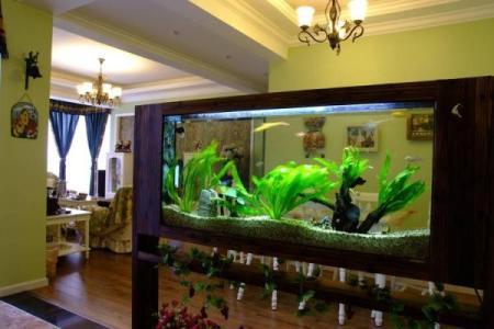避免这些错误，正确摆放鱼缸提升家居风水