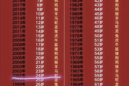 本命年蛇男如何保持事业发展的平稳