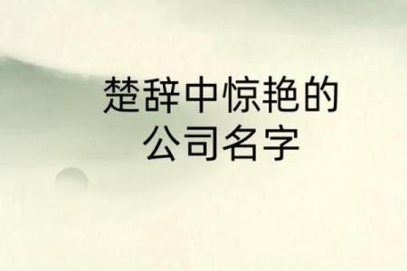 从古诗词中汲取灵感为公司命名的智慧之道