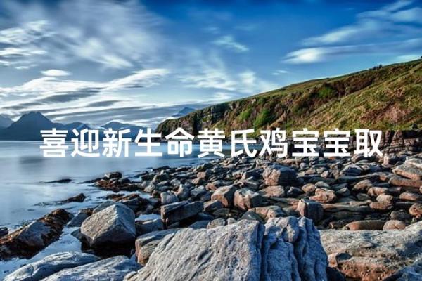 鸡宝宝起名字大全精选 让你的宝宝名字与众不同