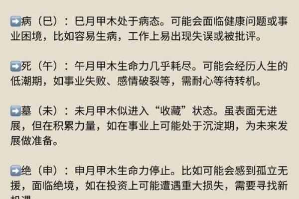 荛五行理论的起源与深远影响解析 荛五行理论的起源与深远影响解析