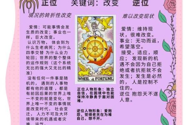 测测你天生的命运属性是什么类型