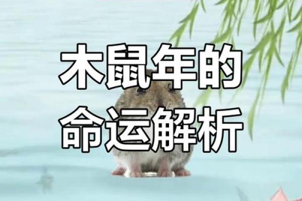 本命年属鼠如何与人和谐相处