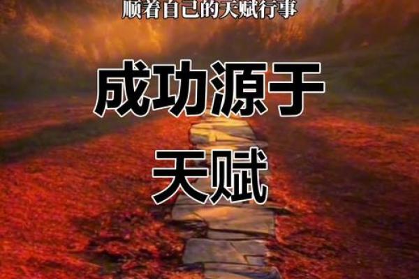 是天赋还是努力？探讨什么才是好命