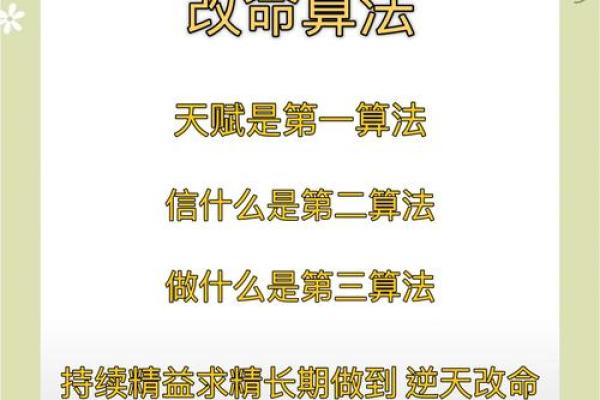 是天赋还是努力？探讨什么才是好命