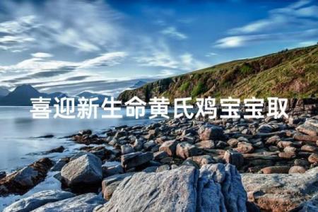 鸡宝宝起名字大全精选 让你的宝宝名字与众不同