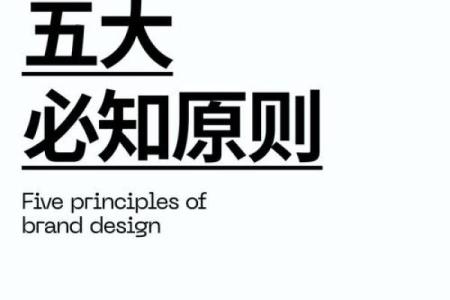 从金字到品牌：设计公司名称的巧妙选择