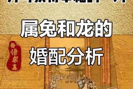 兔和兔的婚姻关系：如何保持和谐与幸福