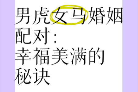 男猪女马的婚姻是否幸福 相配与否的深度解析