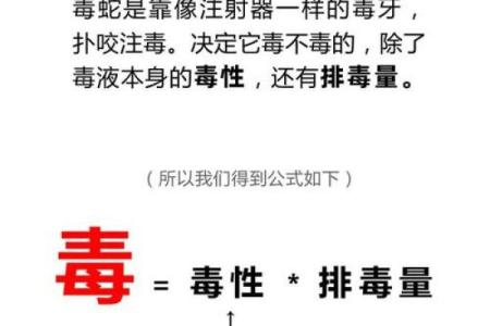 蛇男本命年如何解决情感中的障碍