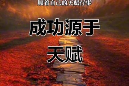 是天赋还是努力？探讨什么才是好命