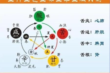 从四象到五行：古老智慧如何塑造你的未来