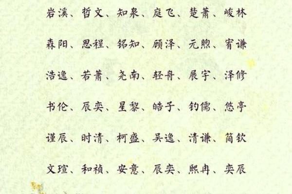 独特有寓意的小男孩名字精选 独特有寓意的小男孩名字精选