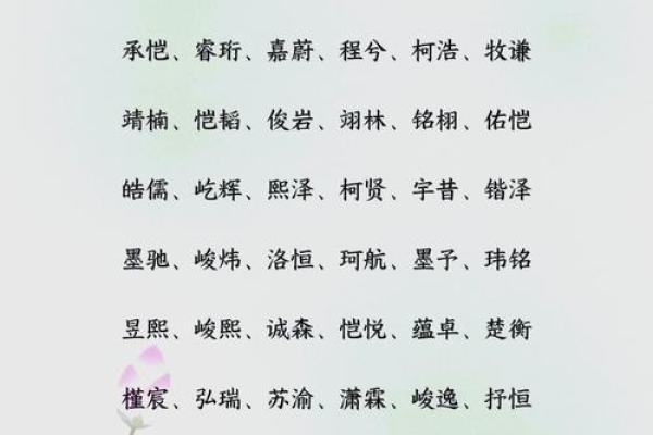 独特有寓意的小男孩名字精选 独特有寓意的小男孩名字精选