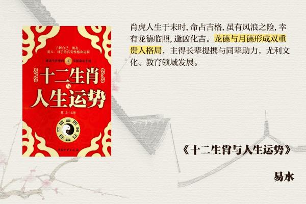 本命年虎男的命运决策与选择