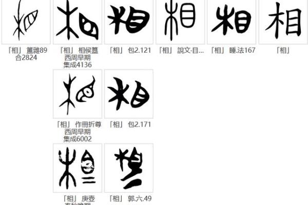 汌字五行属什么?一文揭晓其背后的奥秘 汌字五行属什么?一文揭晓其背后的奥秘
