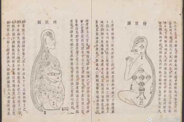 纯阳之命的深层解读与命理学的独特意义