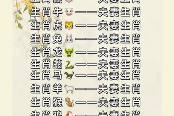 属鼠和属龙的婚配如何 适合的搭配建议